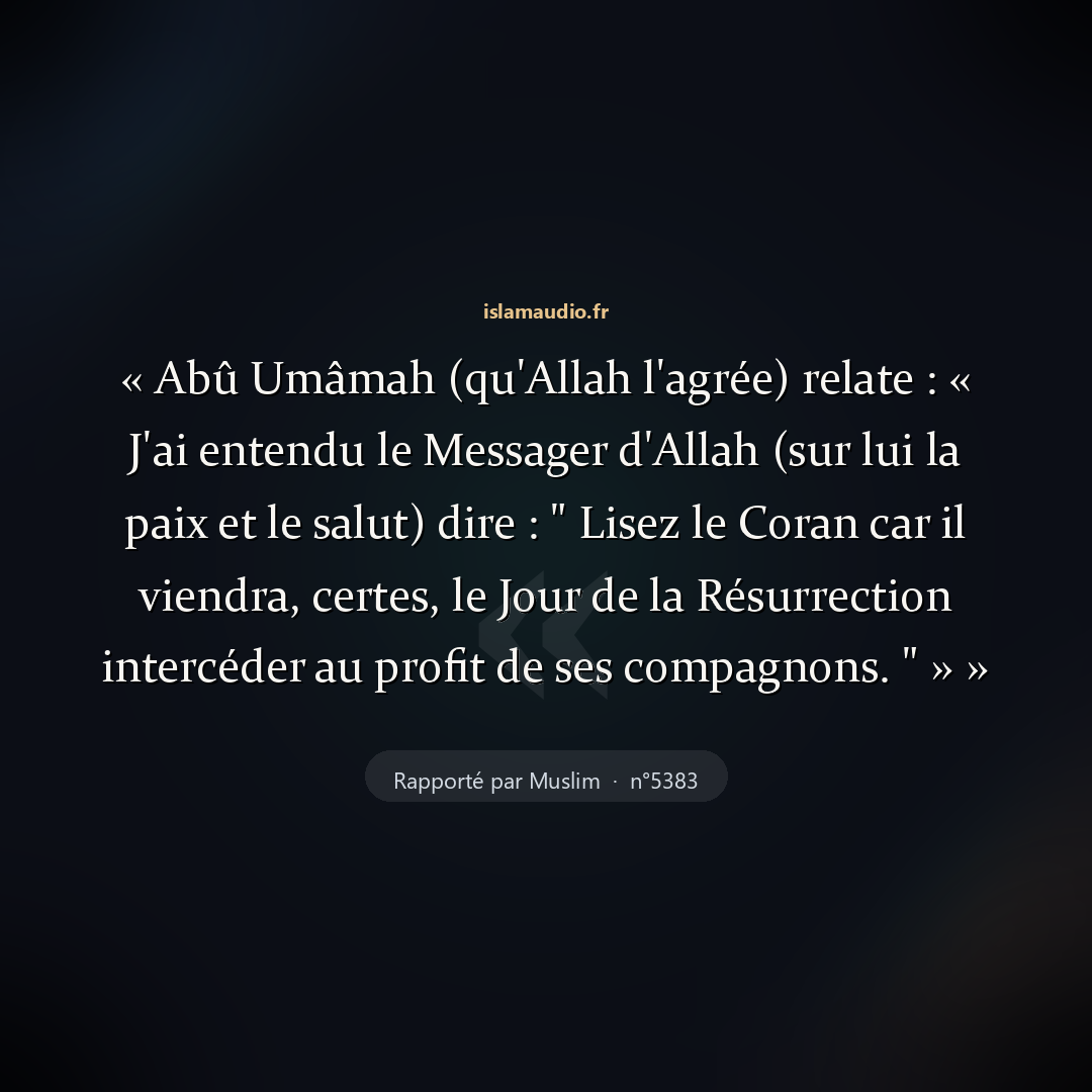 Aperçu du hadith