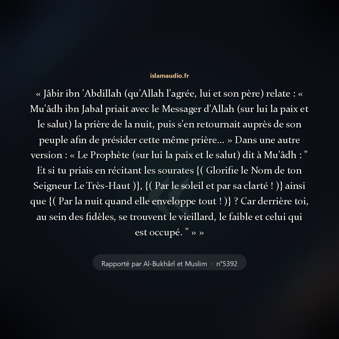 Aperçu du hadith