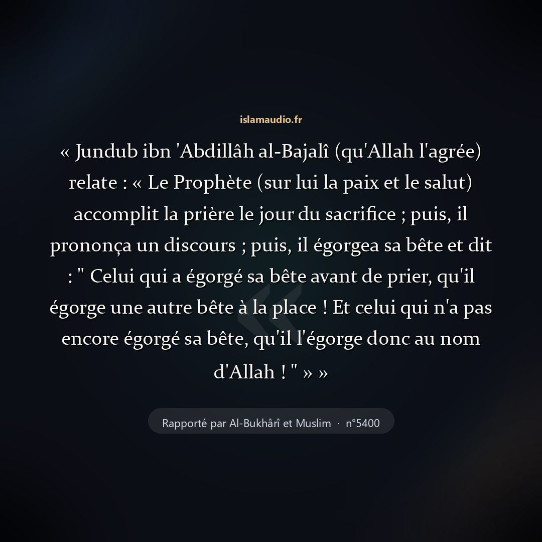 Aperçu du hadith