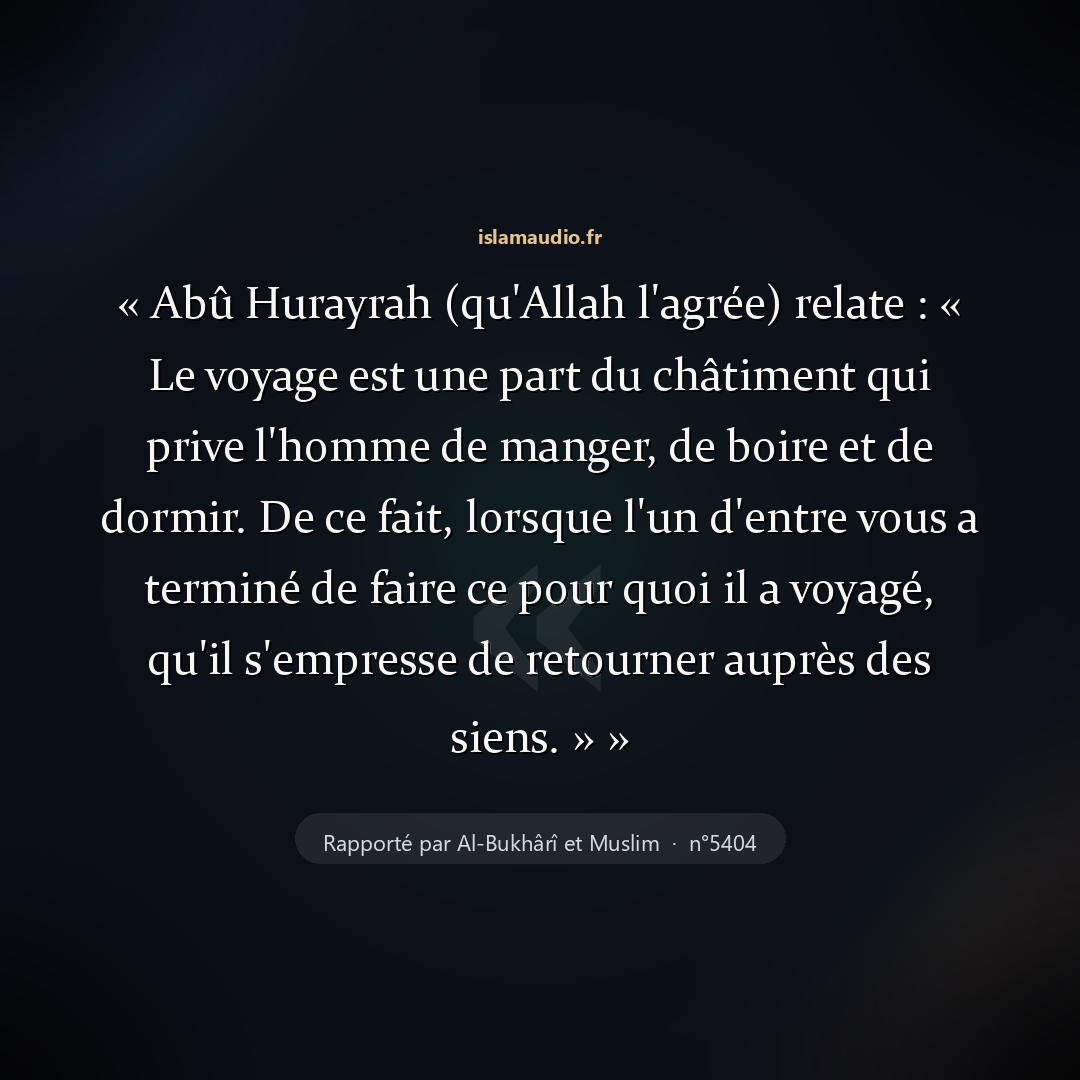 Aperçu du hadith