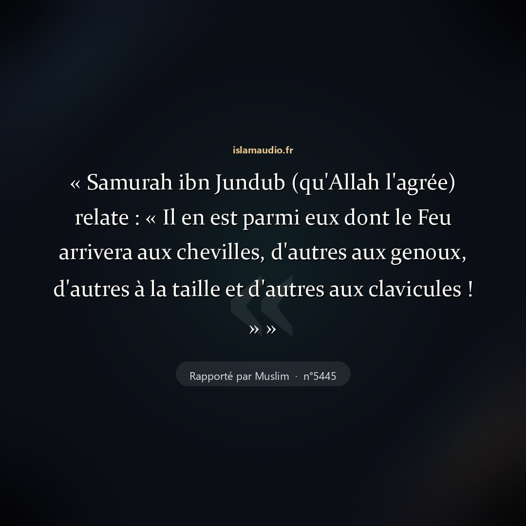 Aperçu du hadith