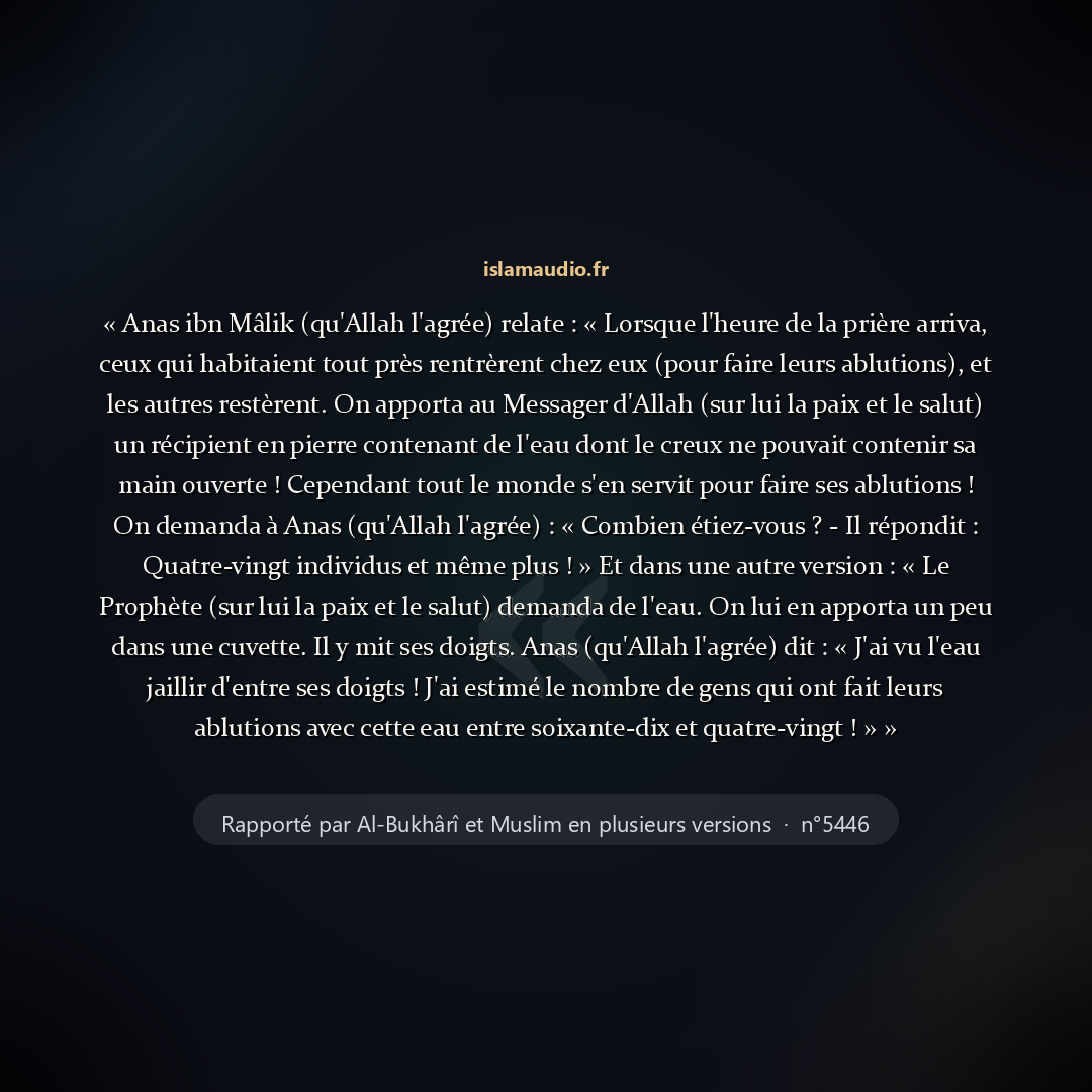 Aperçu du hadith