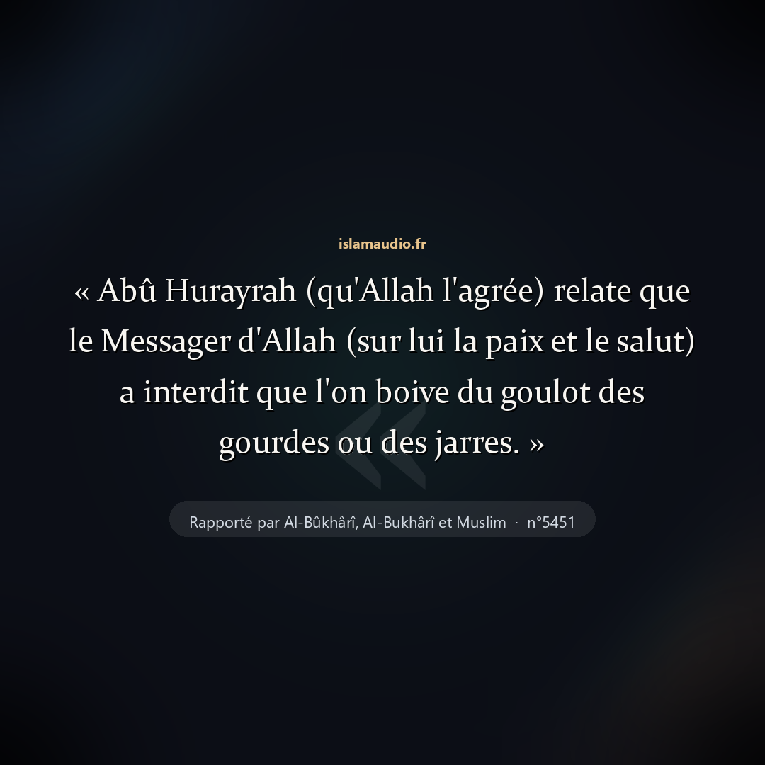 Aperçu du hadith