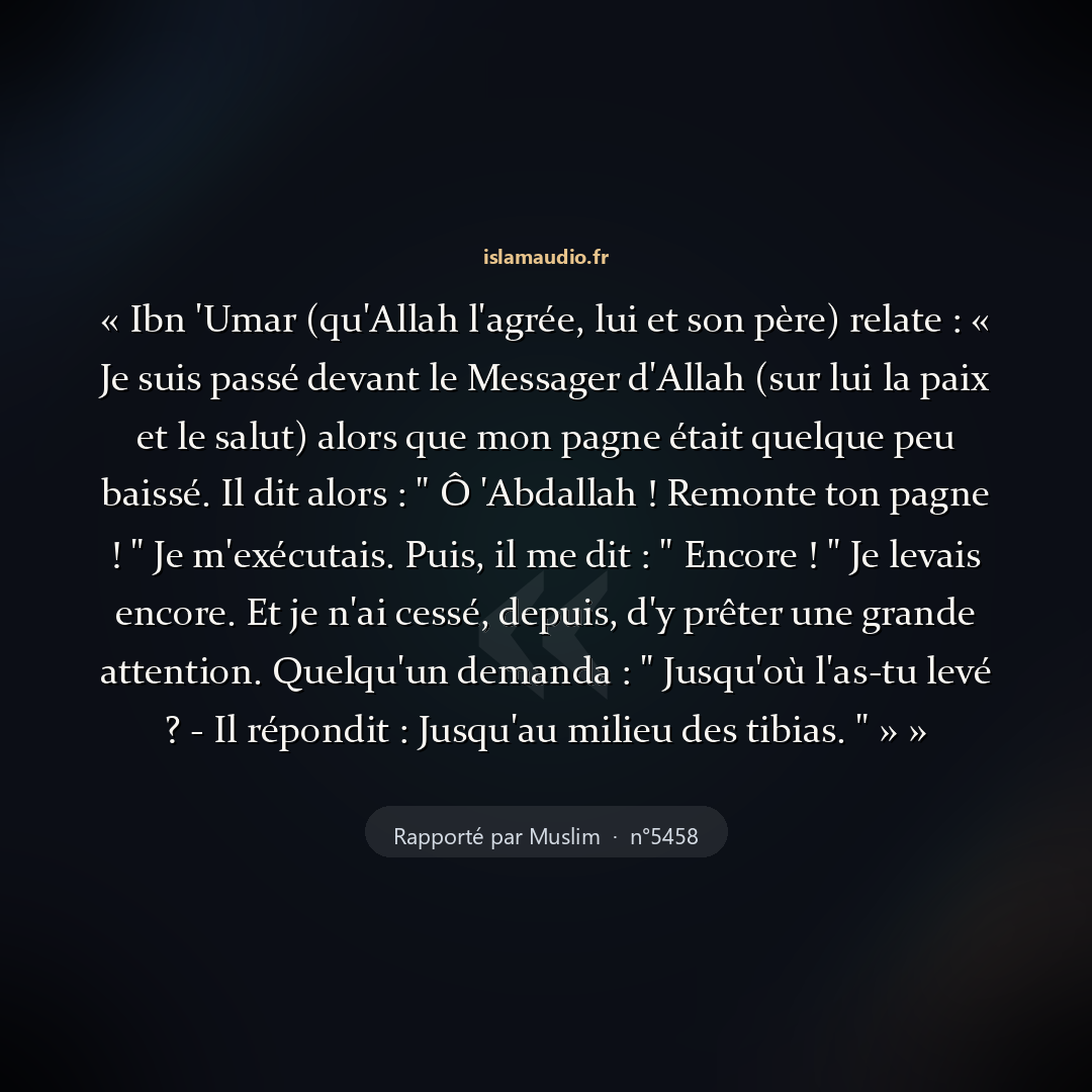 Aperçu du hadith