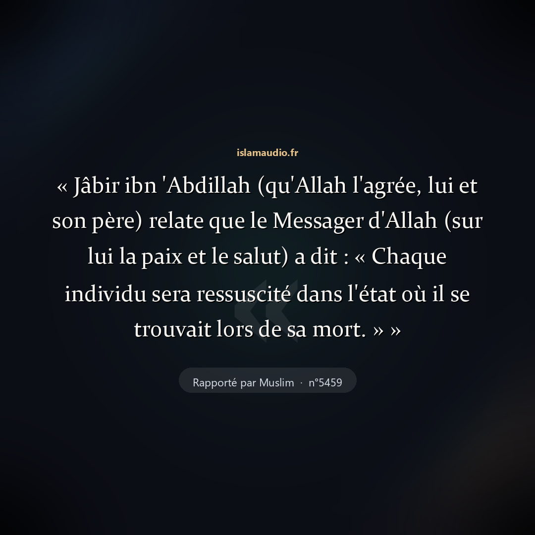 Aperçu du hadith