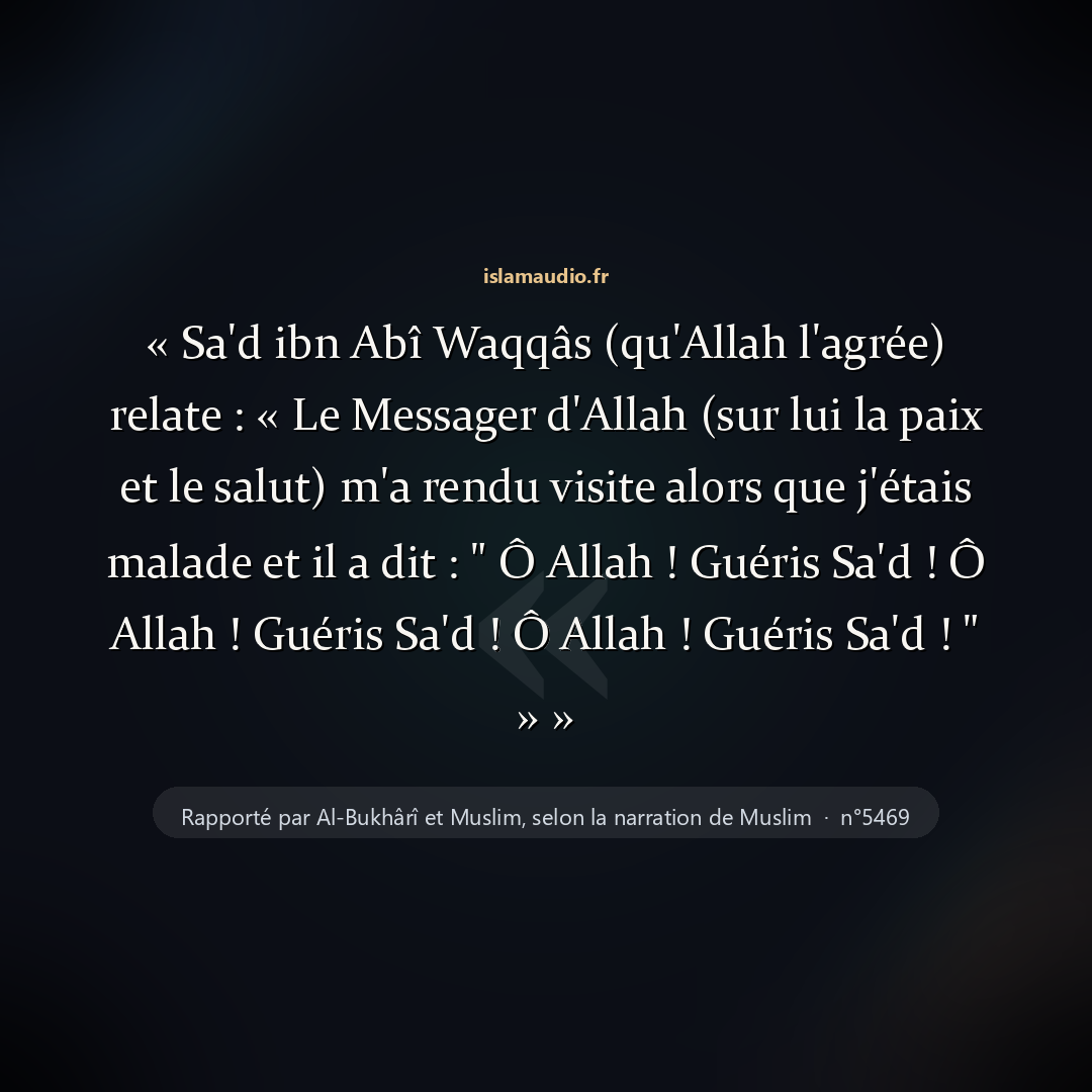 Aperçu du hadith