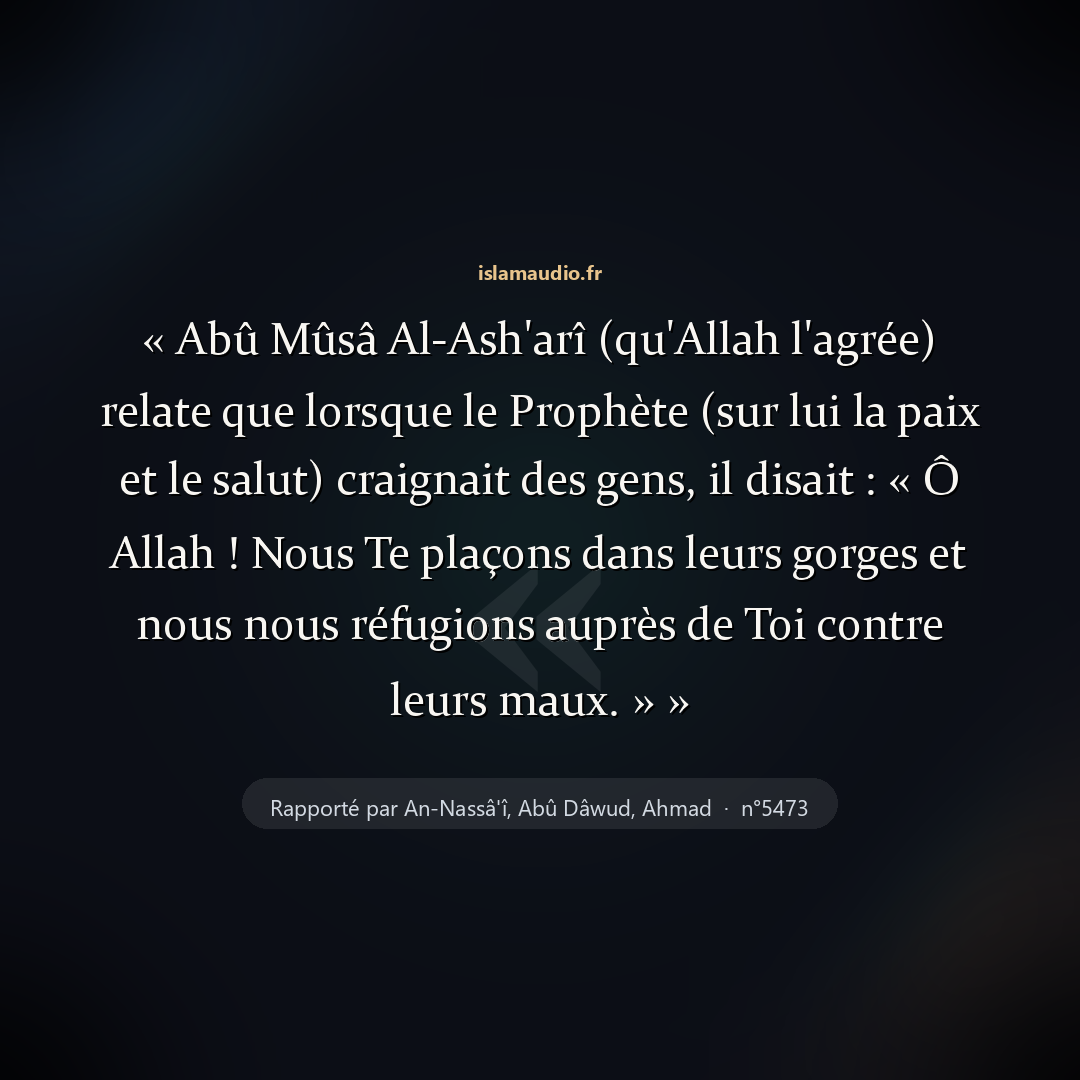 Aperçu du hadith