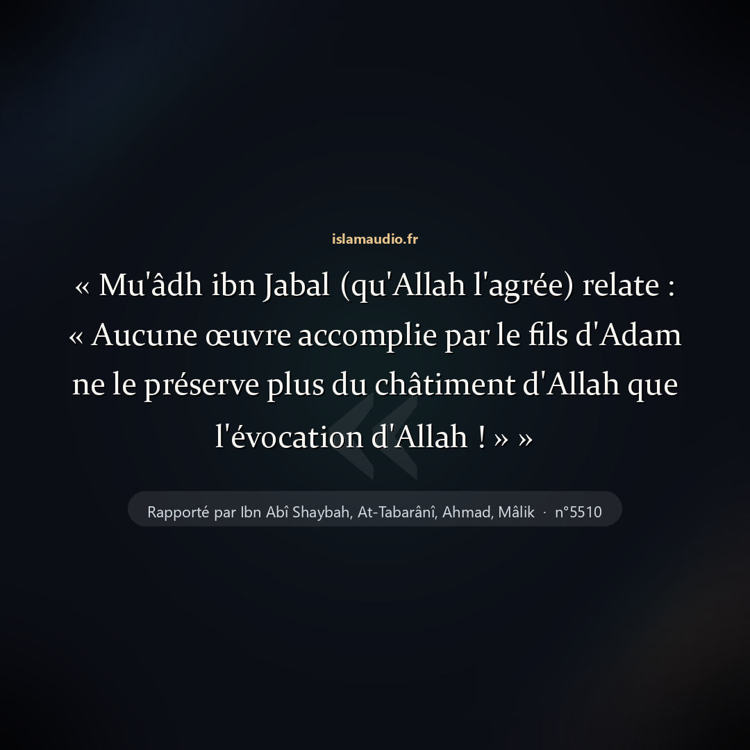 Aperçu du hadith