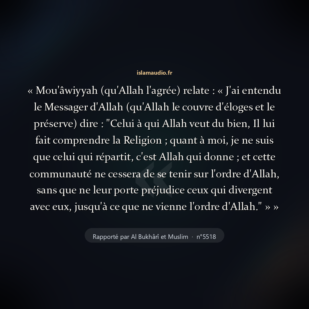 Aperçu du hadith