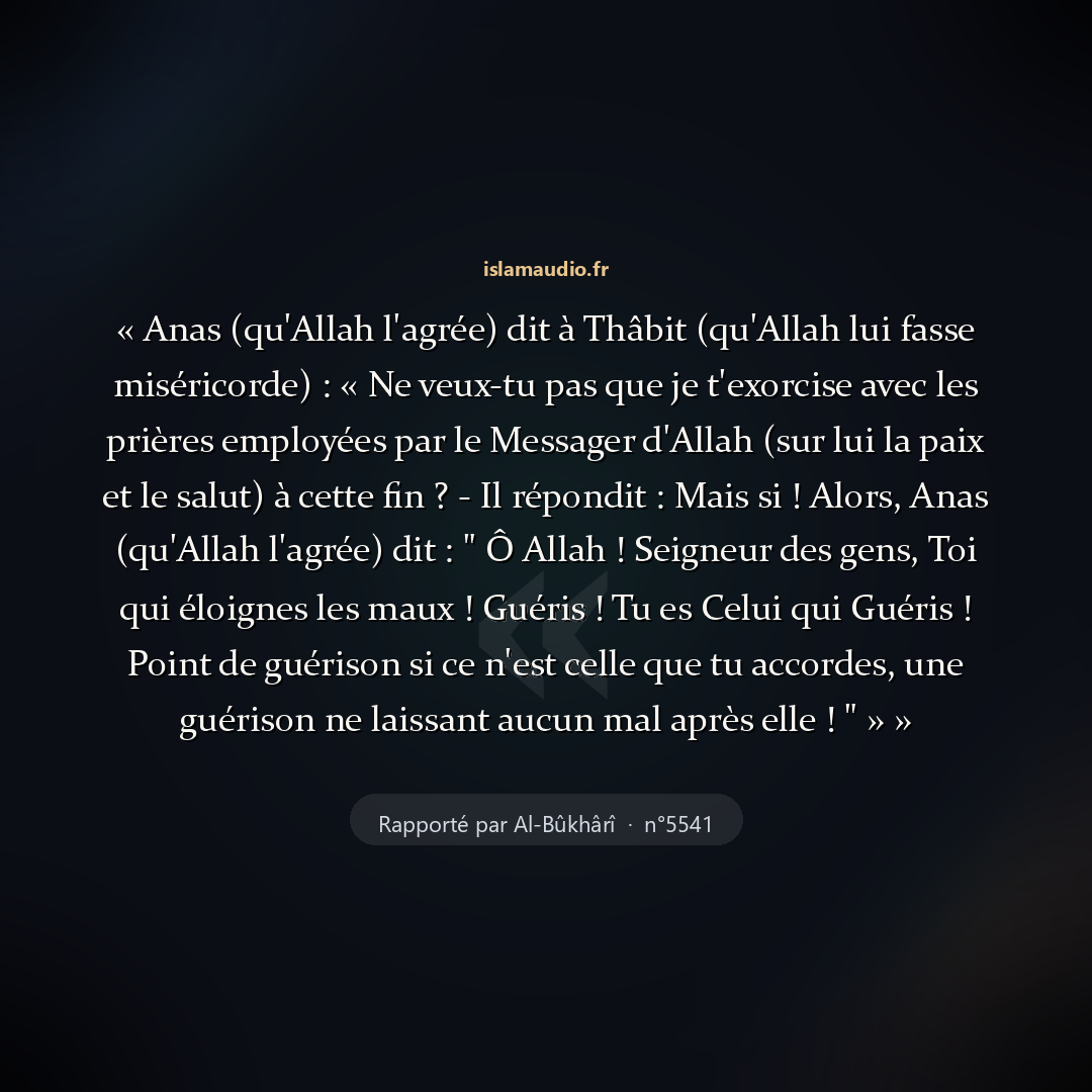 Aperçu du hadith