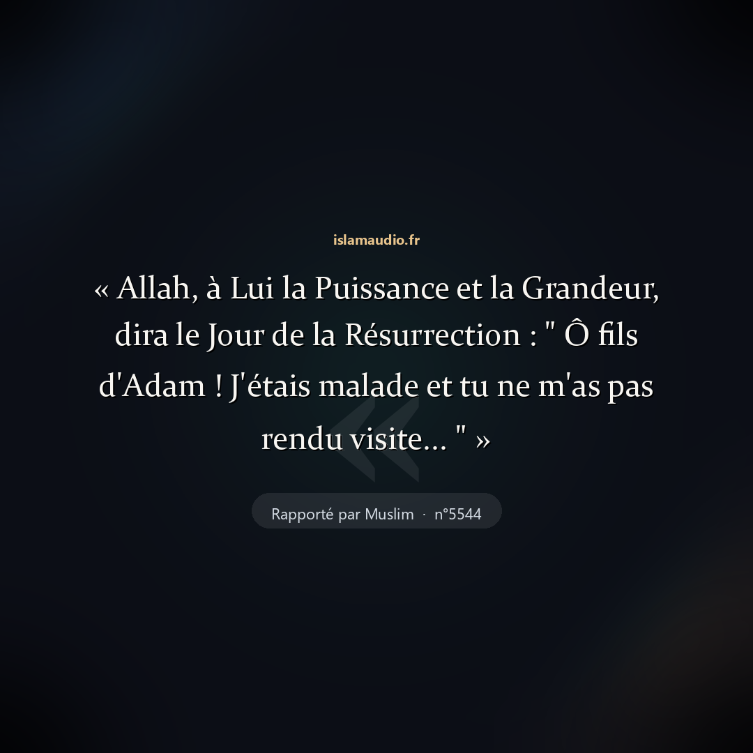 Aperçu du hadith