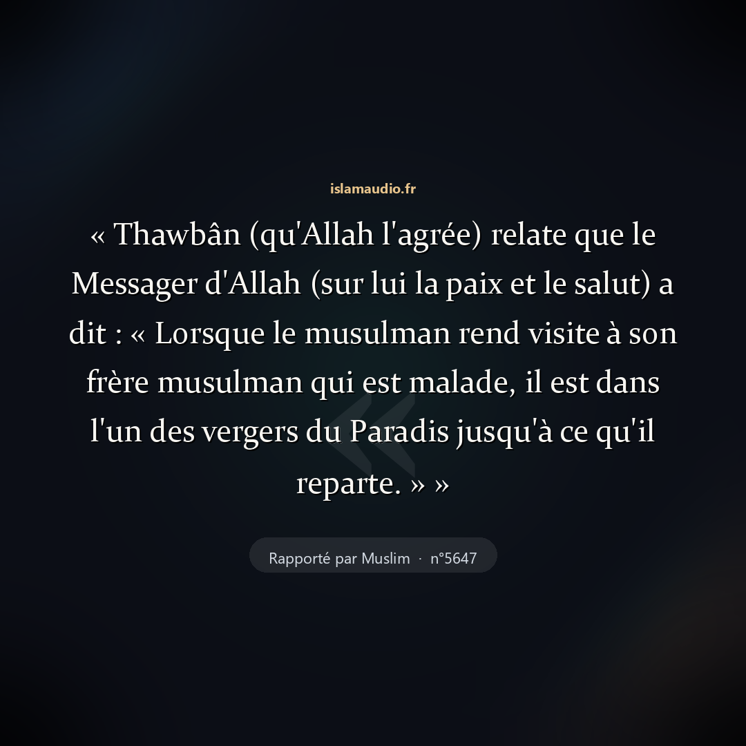 Aperçu du hadith