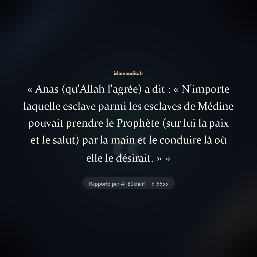 Aperçu du hadith