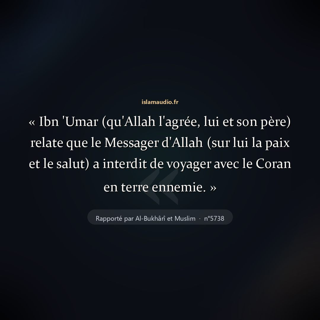 Aperçu du hadith