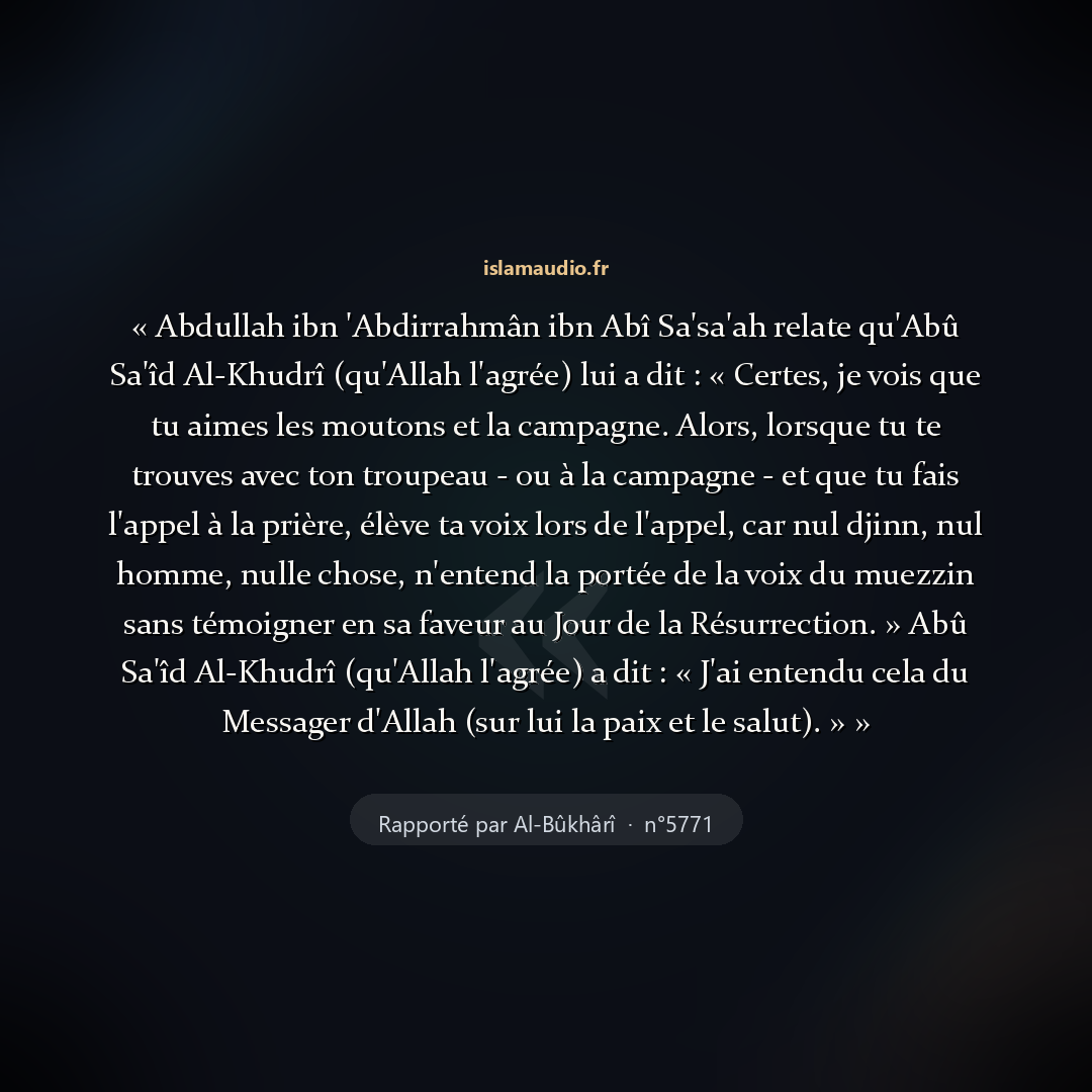 Aperçu du hadith