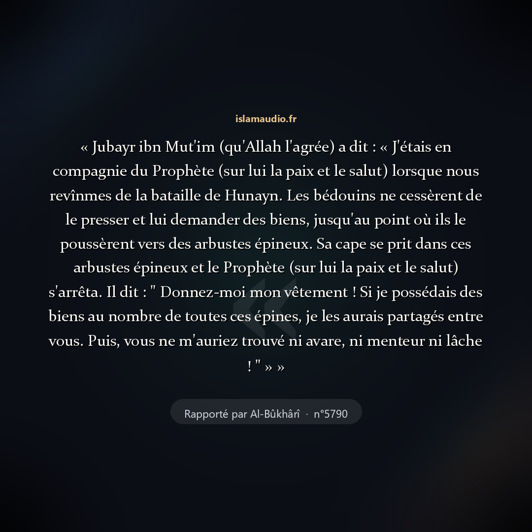 Aperçu du hadith