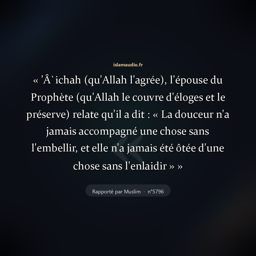 Aperçu du hadith