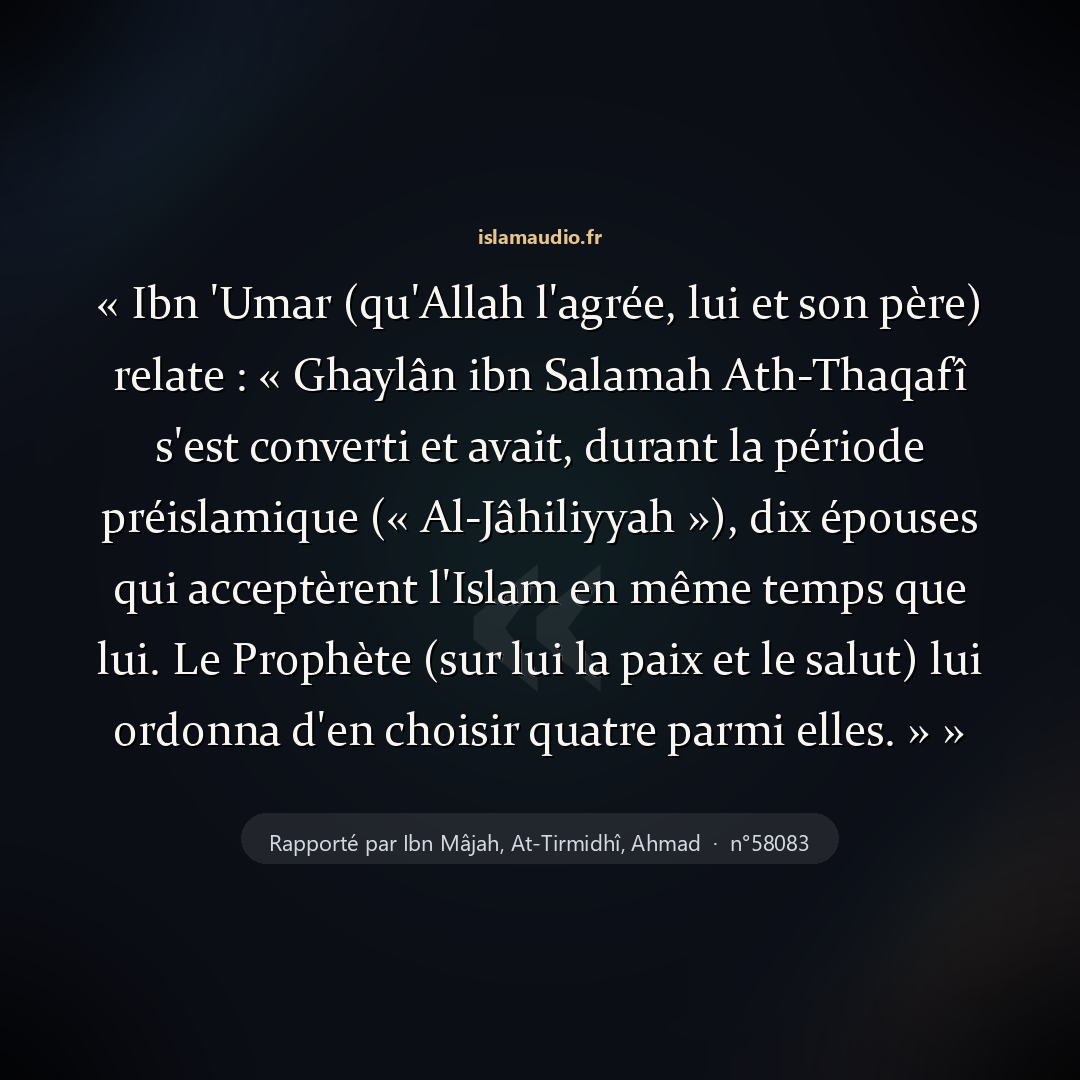 Aperçu du hadith
