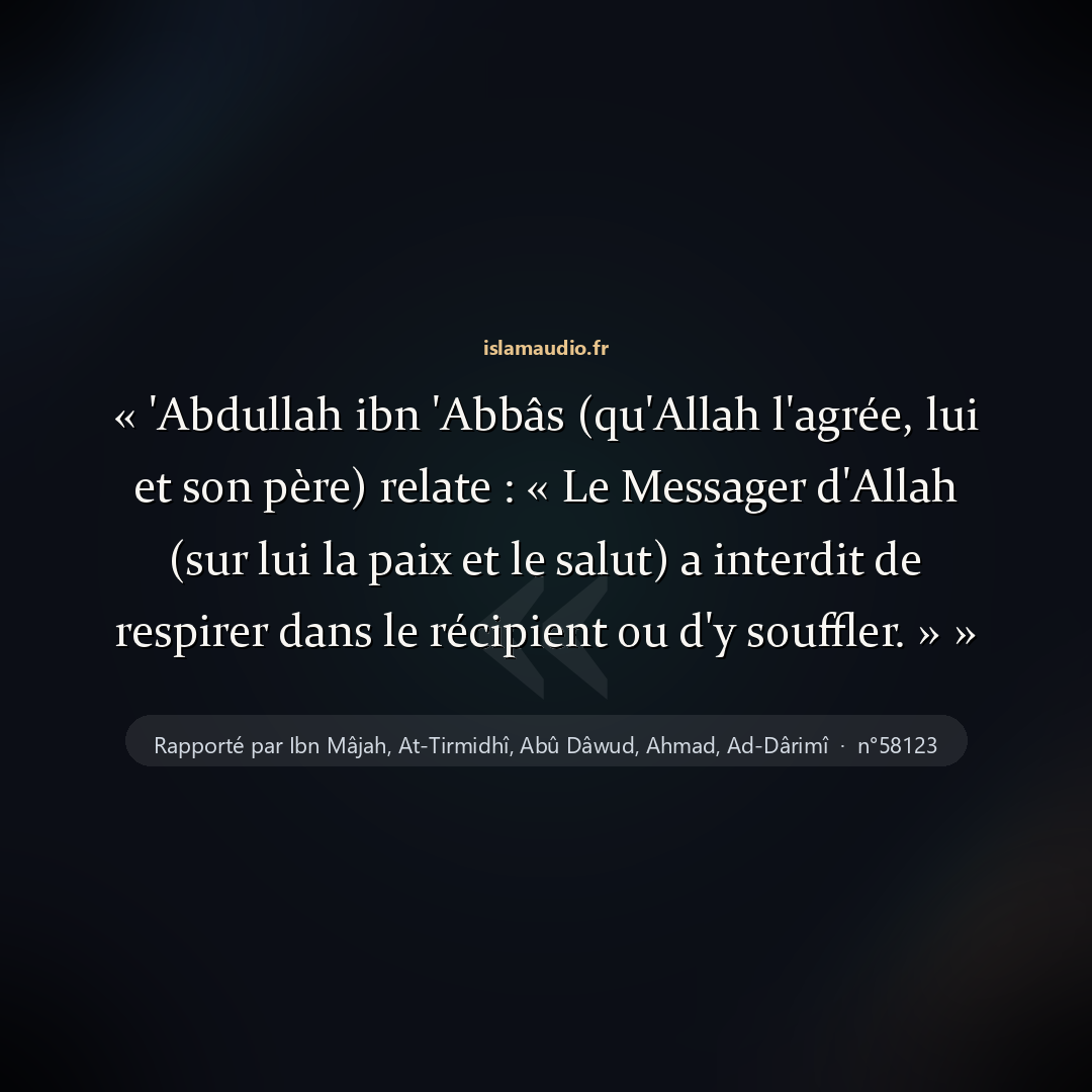 Aperçu du hadith