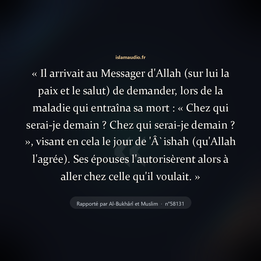 Aperçu du hadith