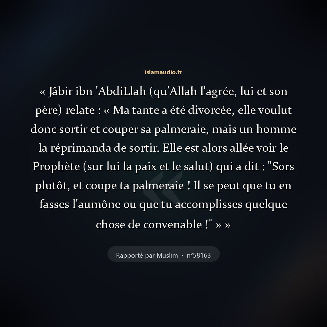 Aperçu du hadith