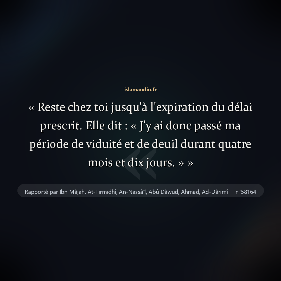 Aperçu du hadith