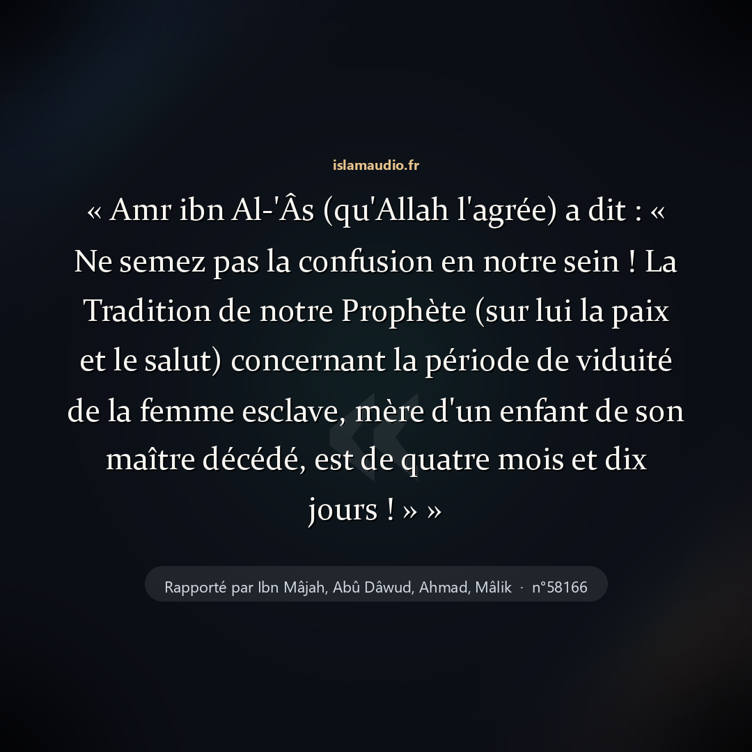 Aperçu du hadith