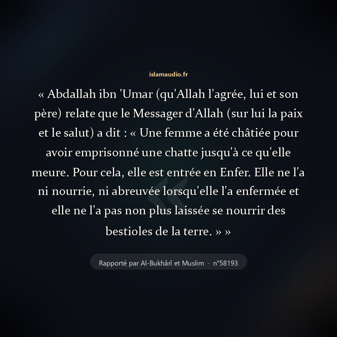 Aperçu du hadith