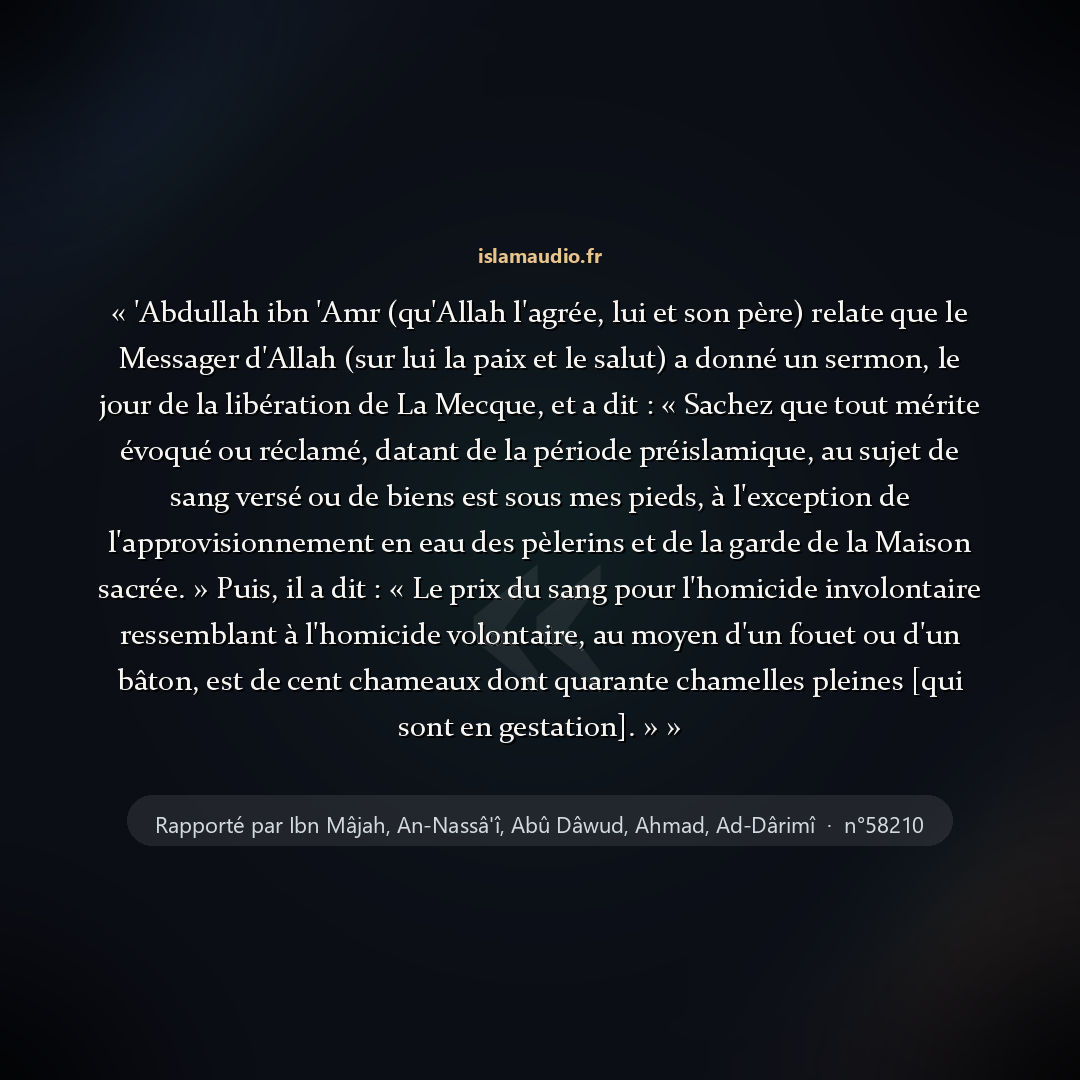 Aperçu du hadith