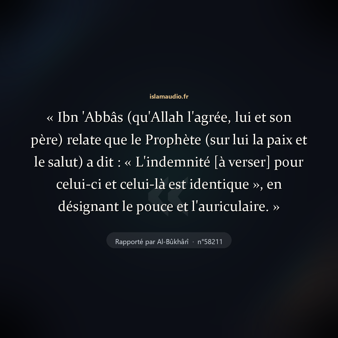 Aperçu du hadith