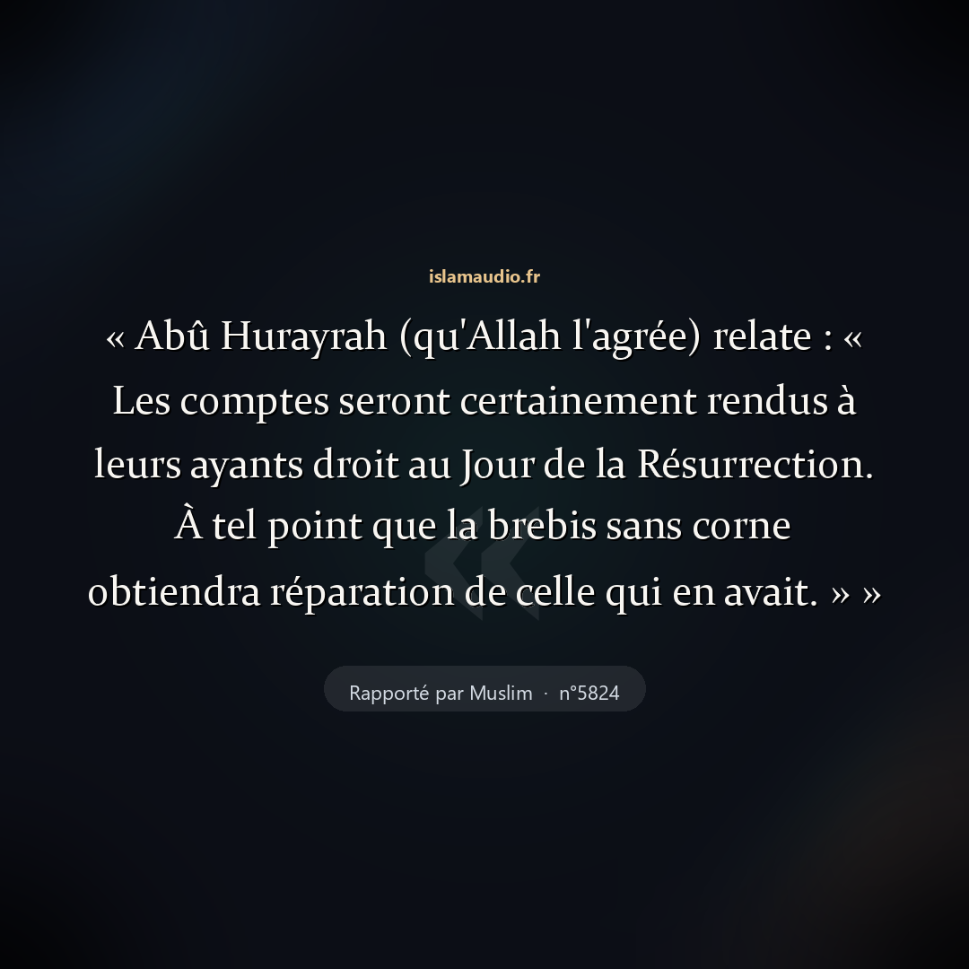 Aperçu du hadith