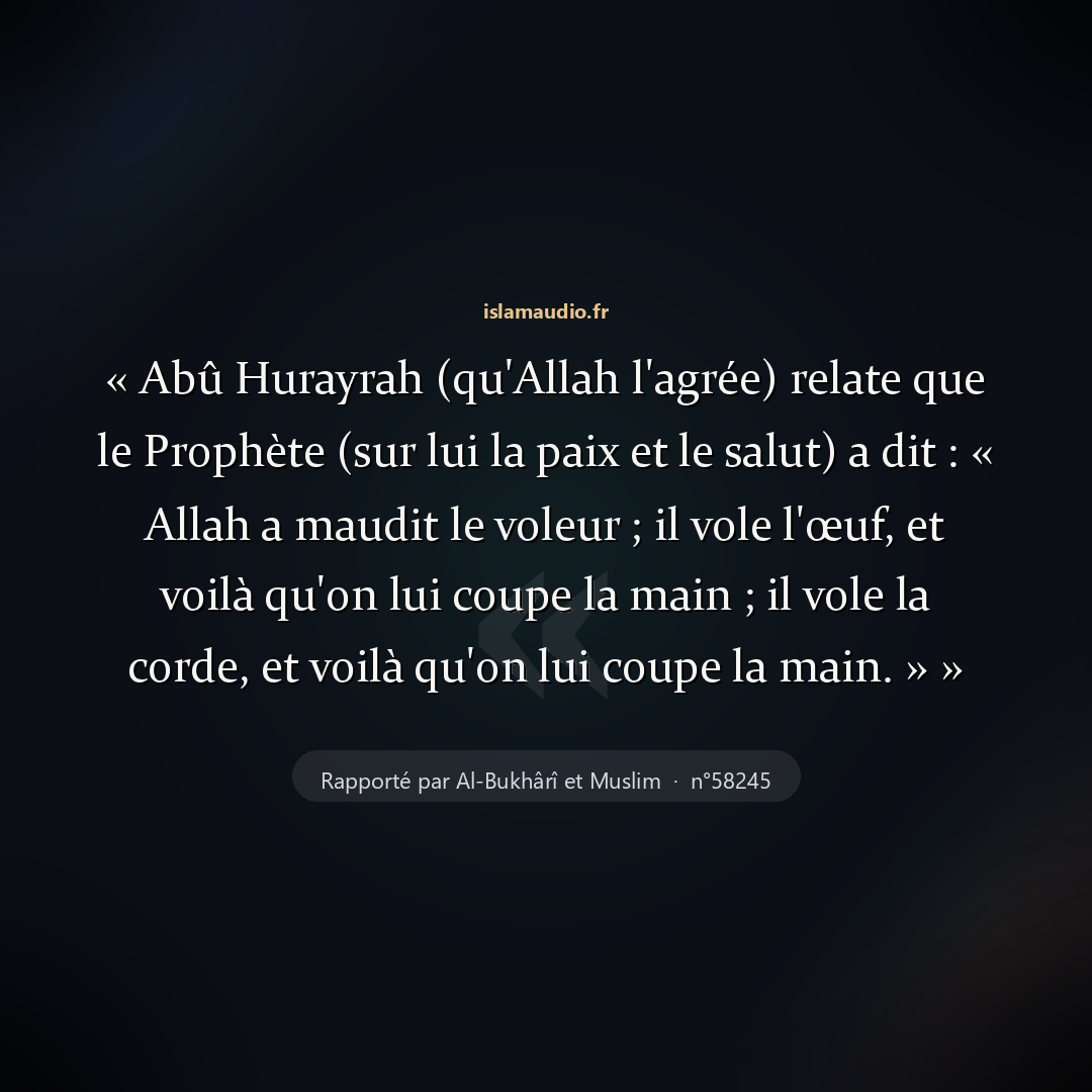 Aperçu du hadith