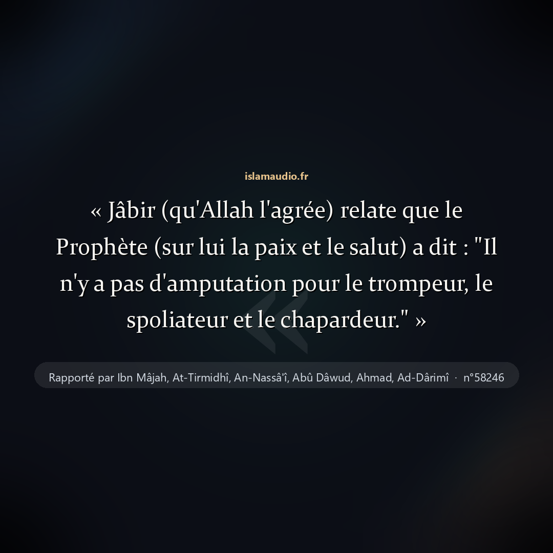 Aperçu du hadith