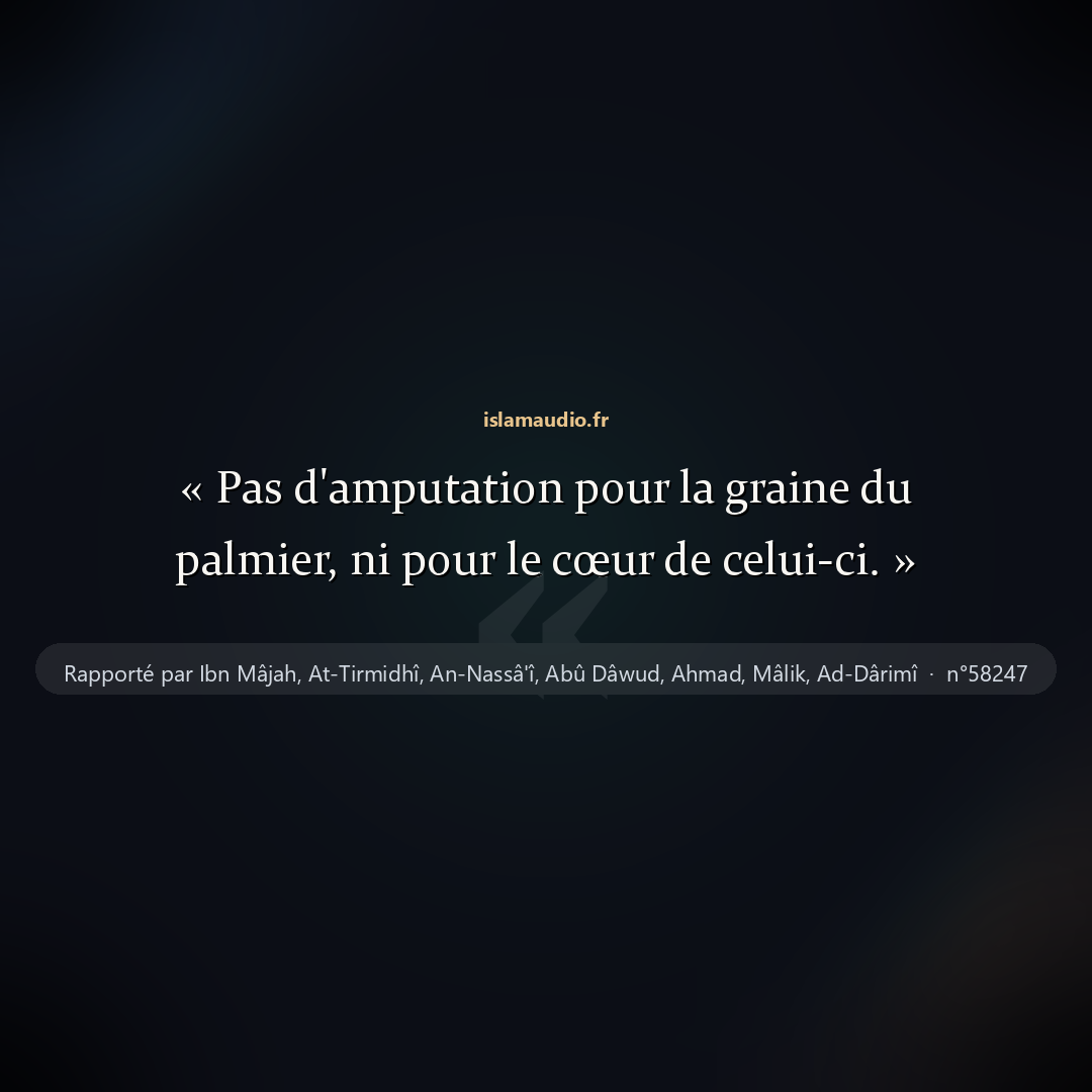 Aperçu du hadith
