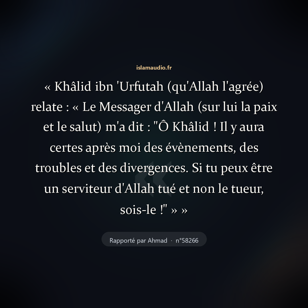 Aperçu du hadith