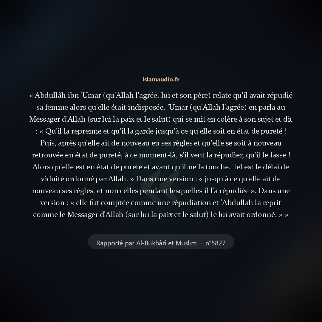 Aperçu du hadith
