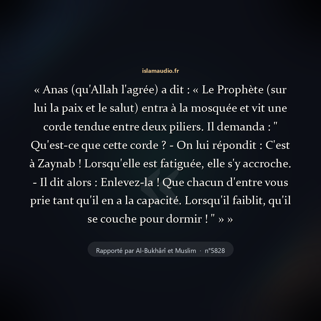 Aperçu du hadith
