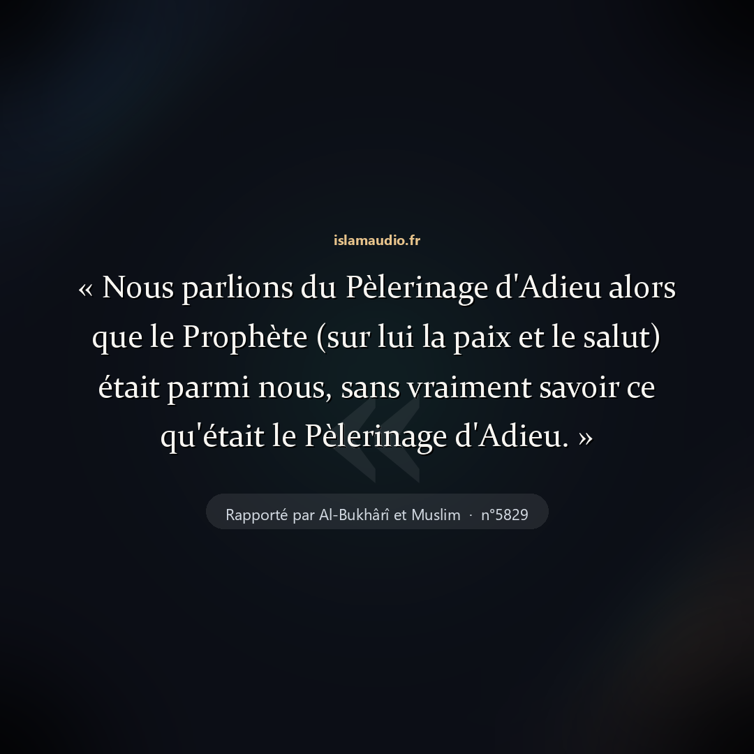 Aperçu du hadith