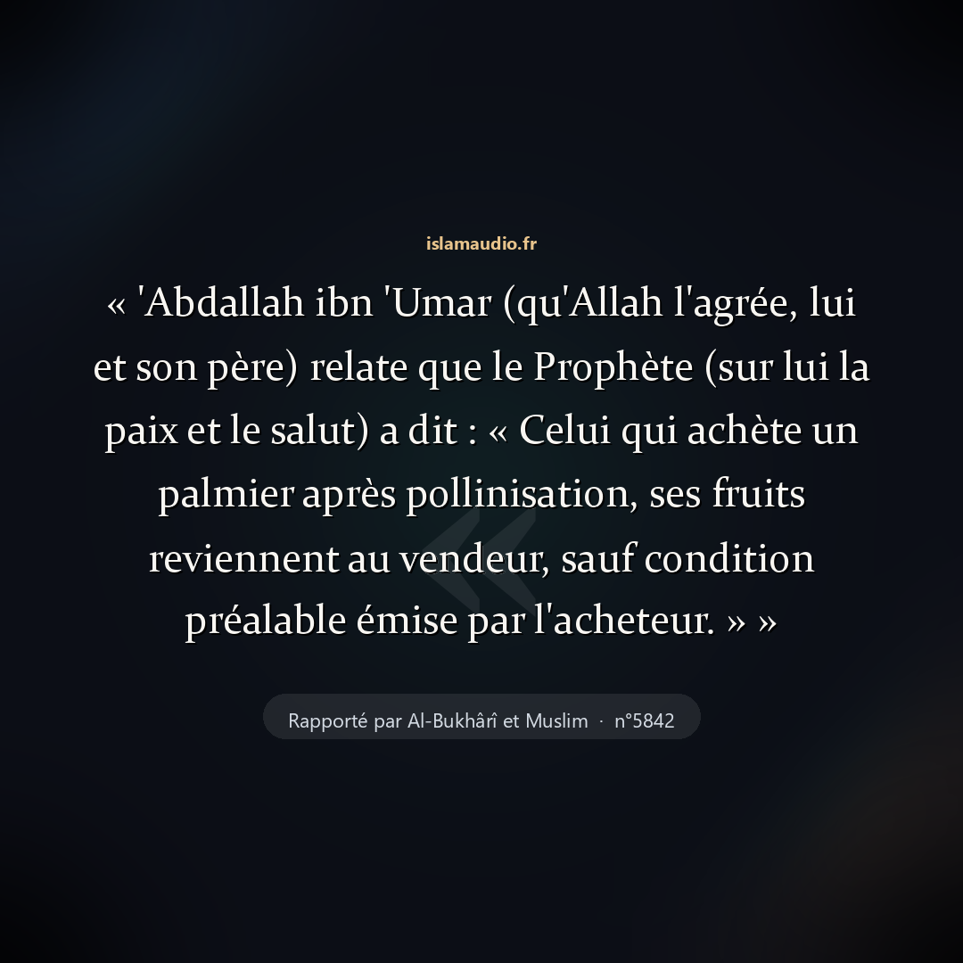 Aperçu du hadith