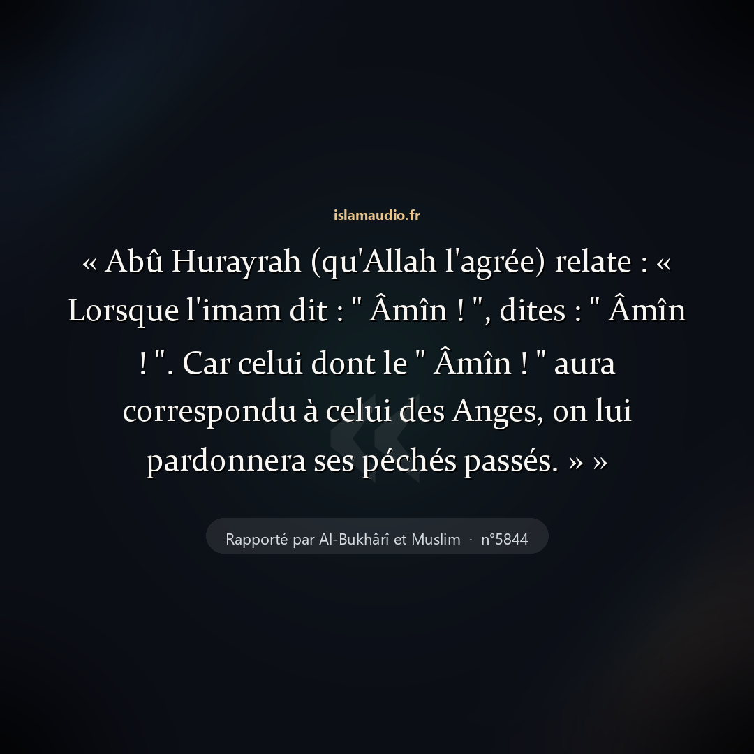 Aperçu du hadith