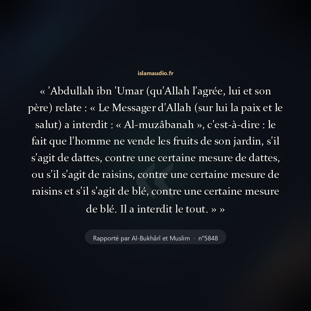 Aperçu du hadith