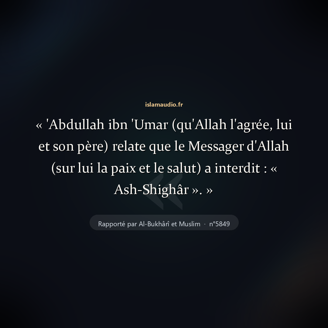 Aperçu du hadith