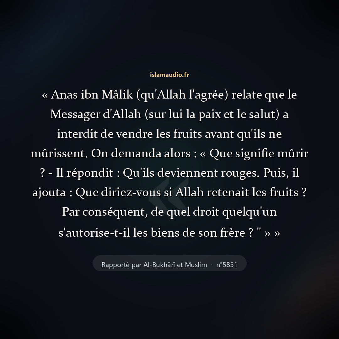Aperçu du hadith