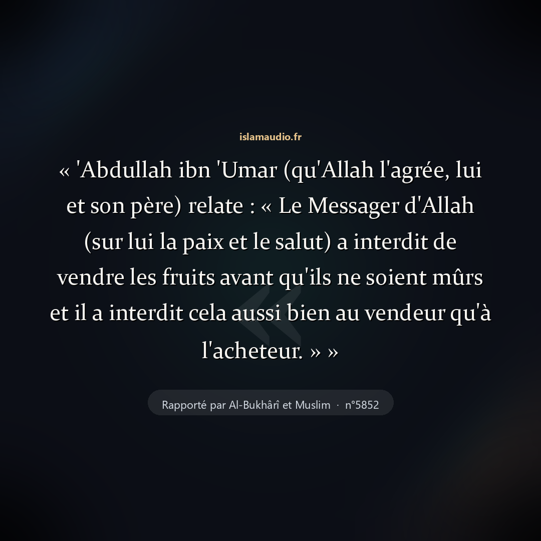 Aperçu du hadith