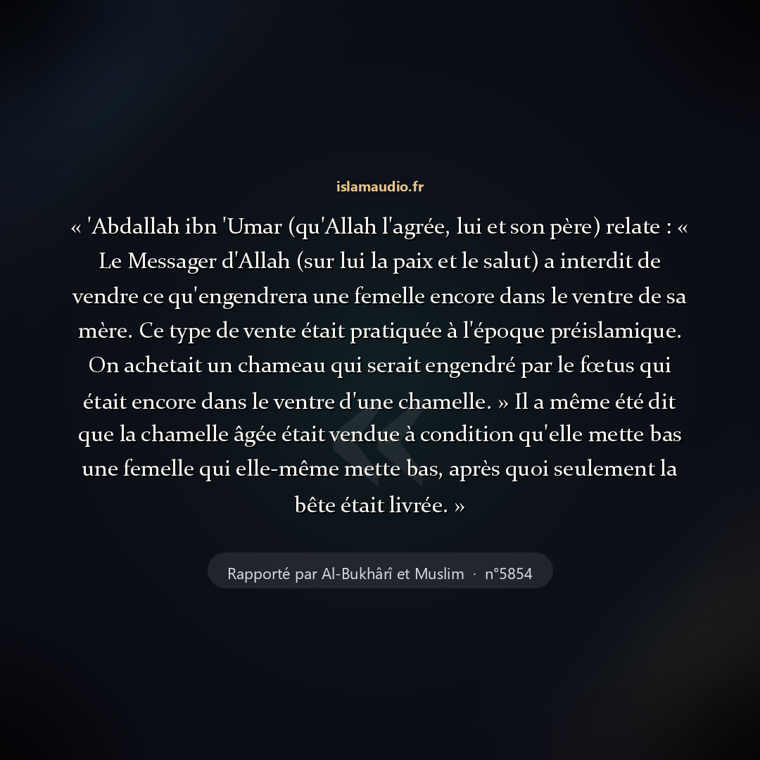 Aperçu du hadith