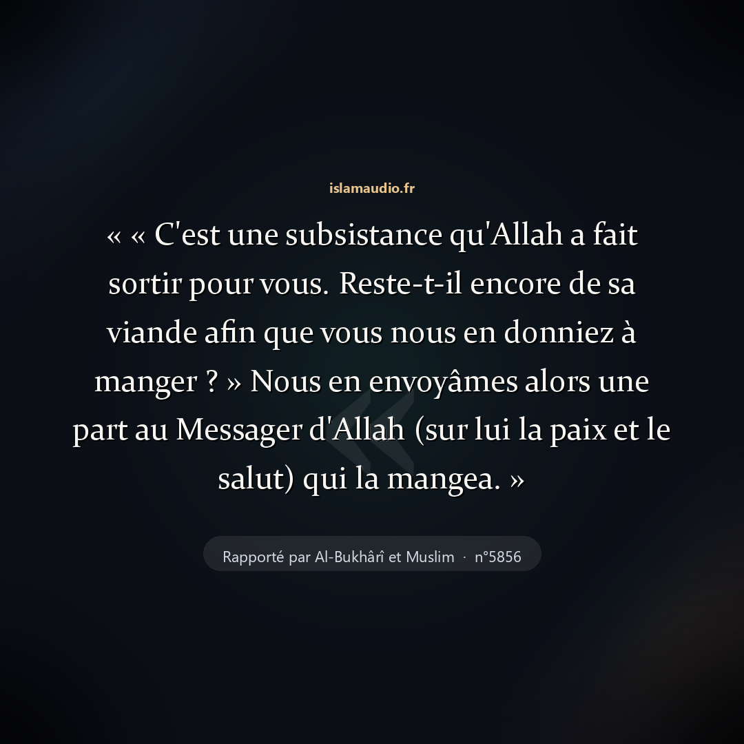 Aperçu du hadith