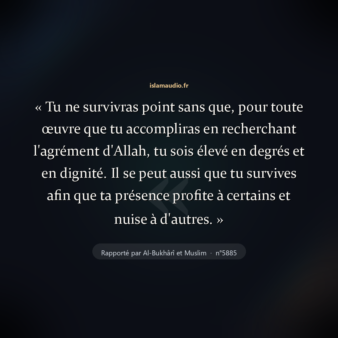 Aperçu du hadith