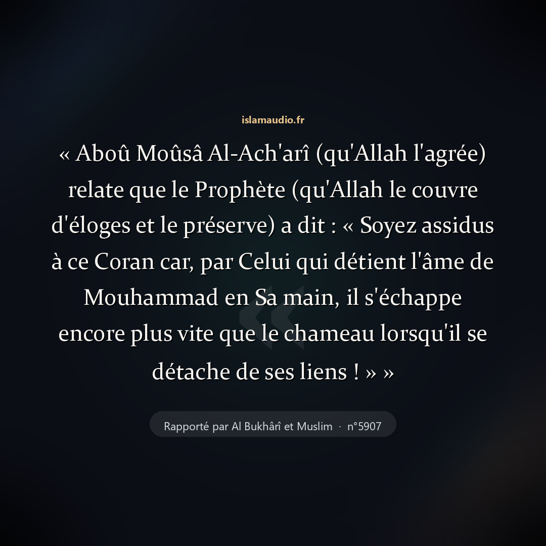 Aperçu du hadith