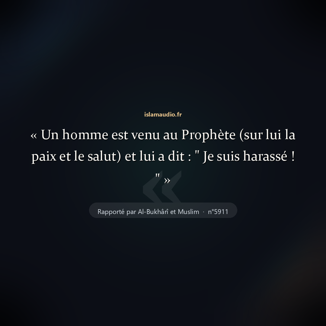 Aperçu du hadith