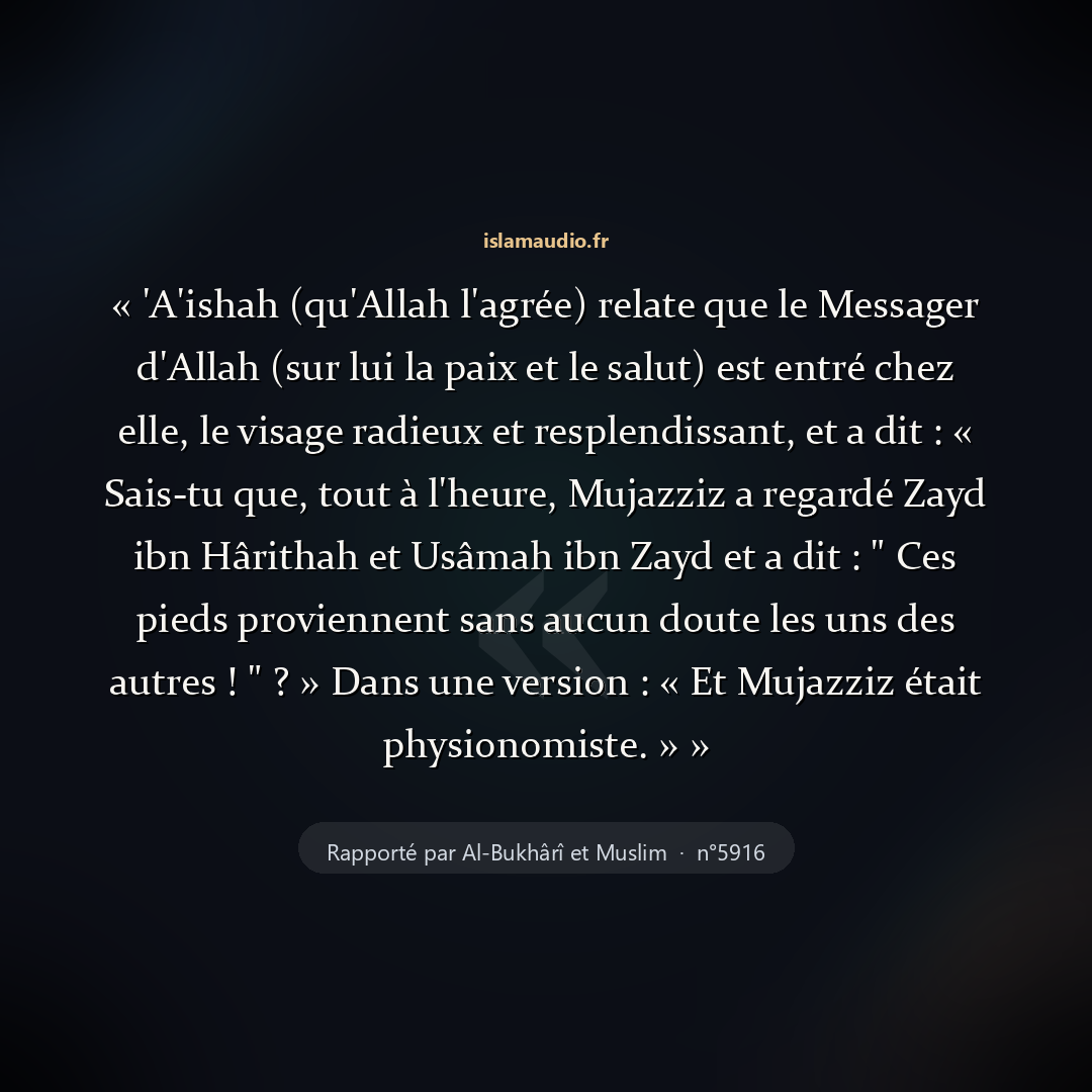 Aperçu du hadith